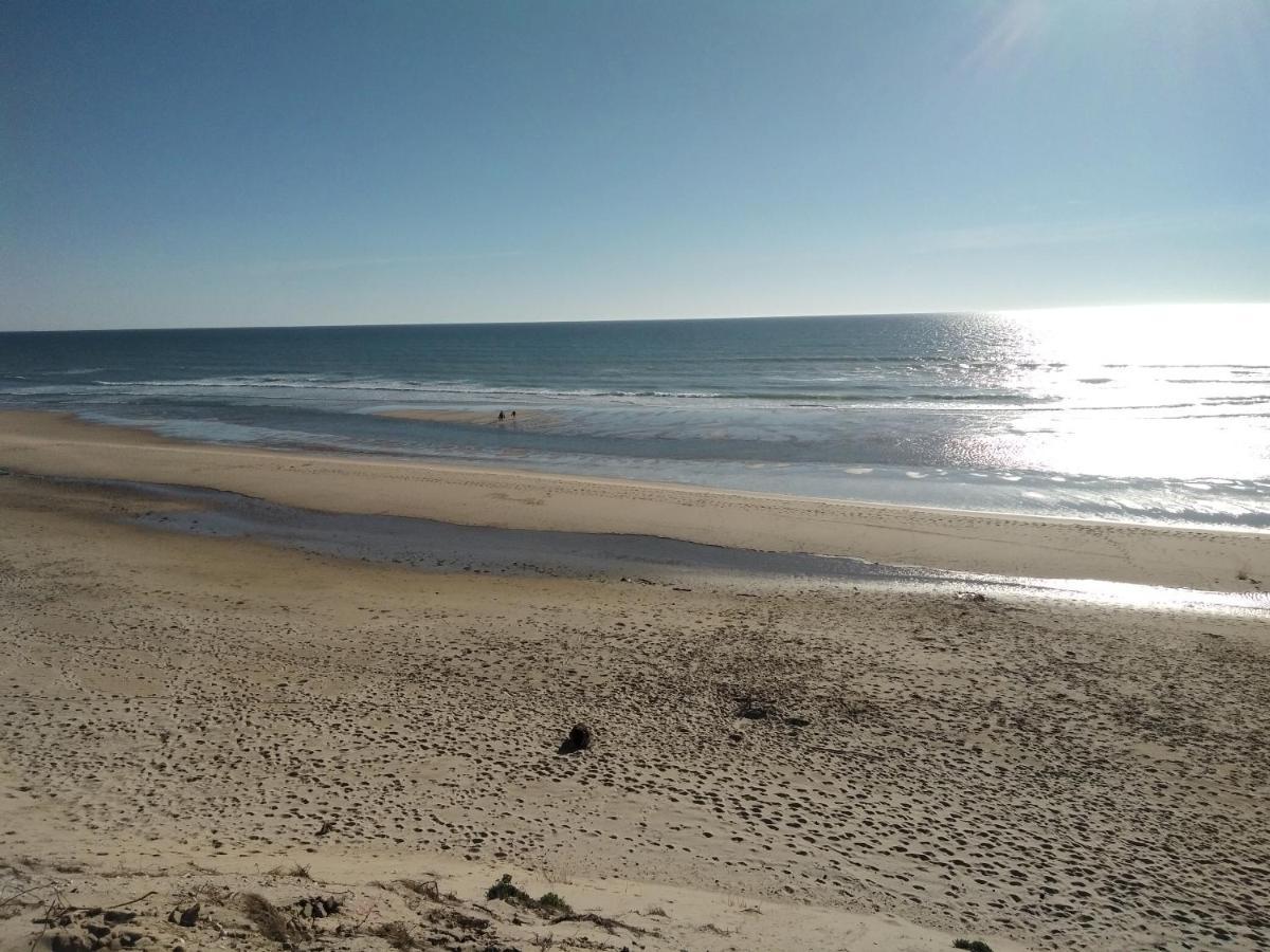 Zenzela Surf House Hotel Naujac-sur-Mer Eksteriør billede